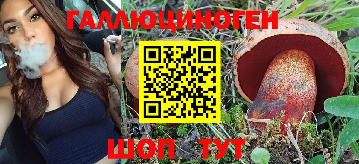 Галлюциногенные грибы MAGIC MUSHROOMS  Вход с VPN  Сертолово  Псилоцибиновые грибы Psilocybe 