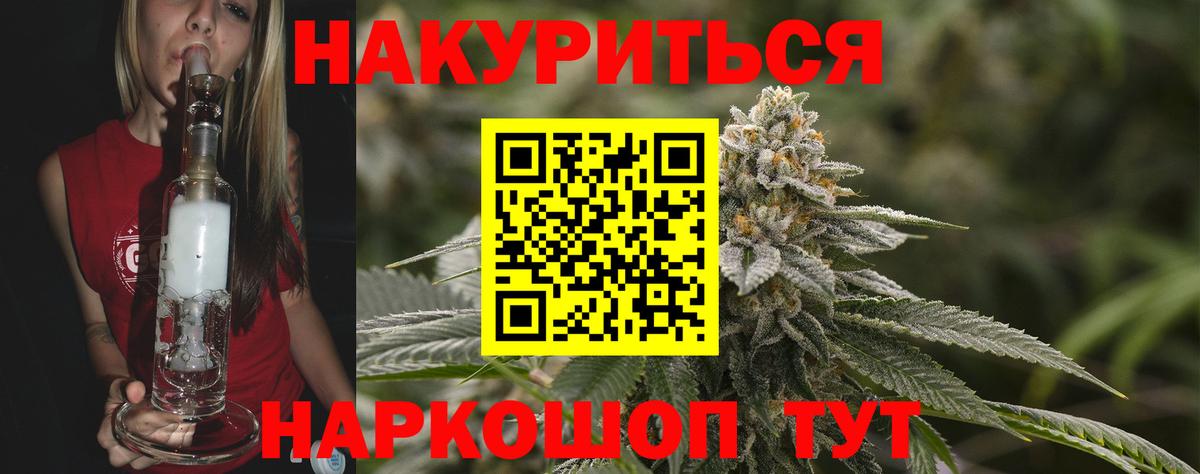 Конопля гибрид Сертолово